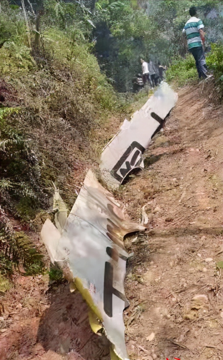 东航波音737飞机失事坠毁事件,东航波音737飞机失事原因