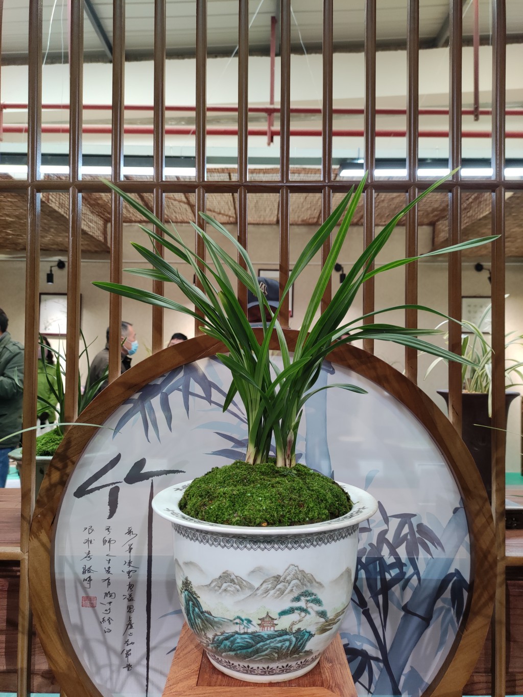 “金陵兰汇”兰花馆于江宁湖东29盛大开业,香飘四溢