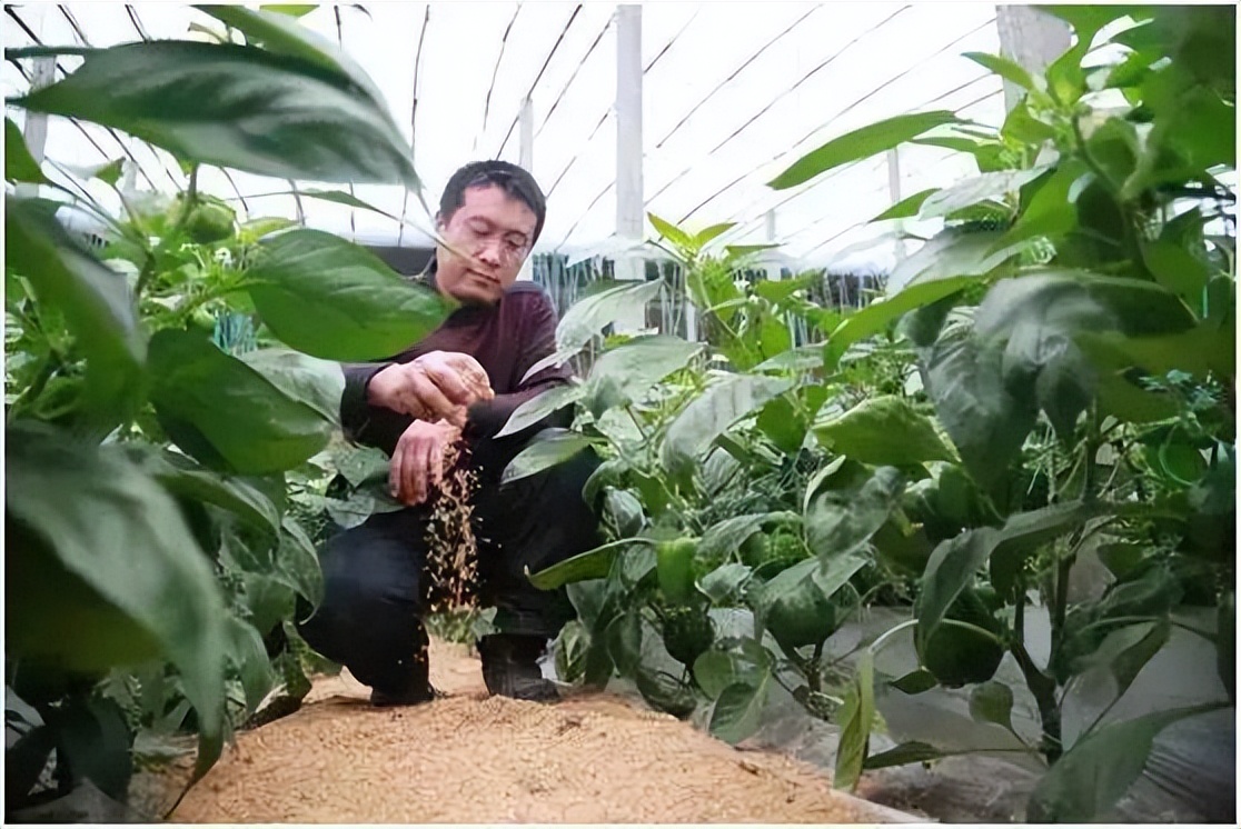 大棚里什么方法除湿最好,大棚怎么除湿