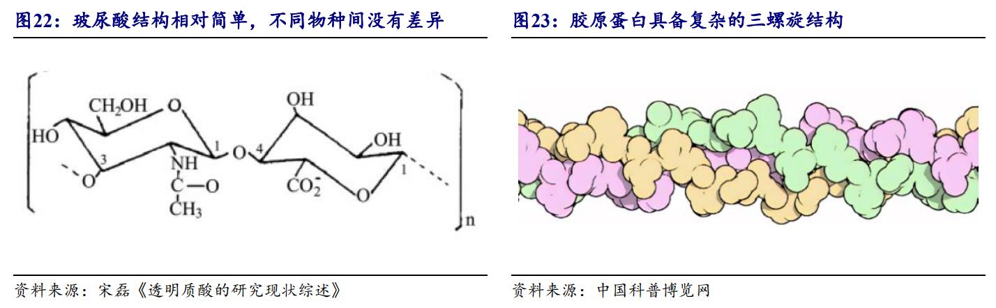 鑳跺師铔嬬櫧鍥藉唴宸蹭笂甯傜殑鍏,鑳跺師铔嬬櫧鑳藉惁鎴愪负璺ㄨ秺鍛ㄦ湡鍘熸枡