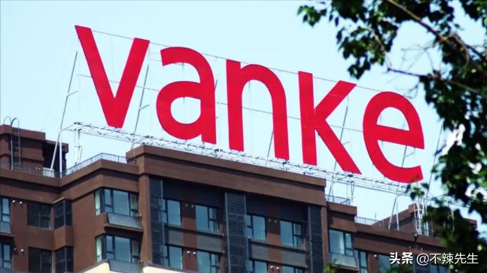 中国房地产业龙头万科集团,中国房地产百强企业