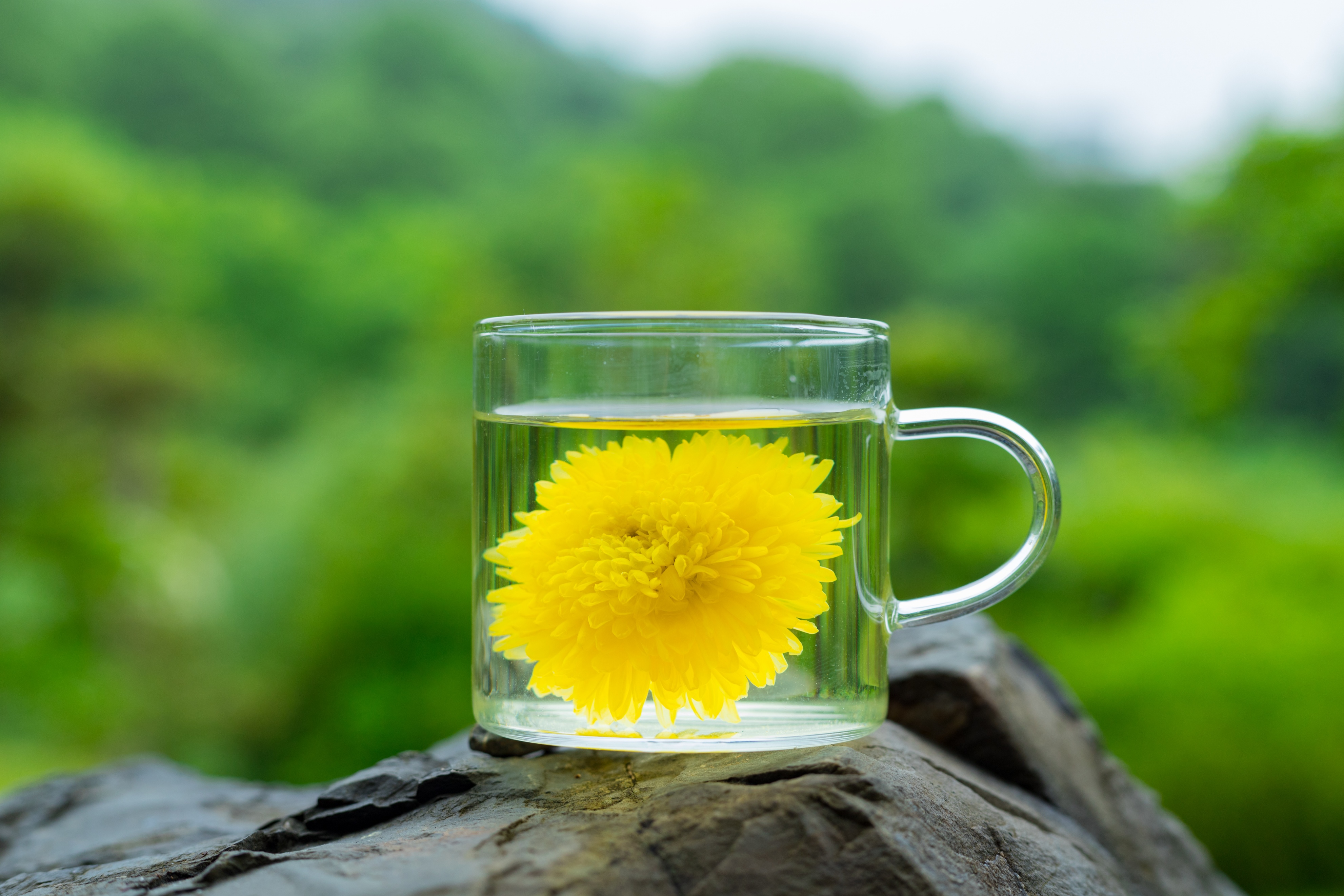 中年人长期喝茶有什么危害,中年人不宜喝什么茶