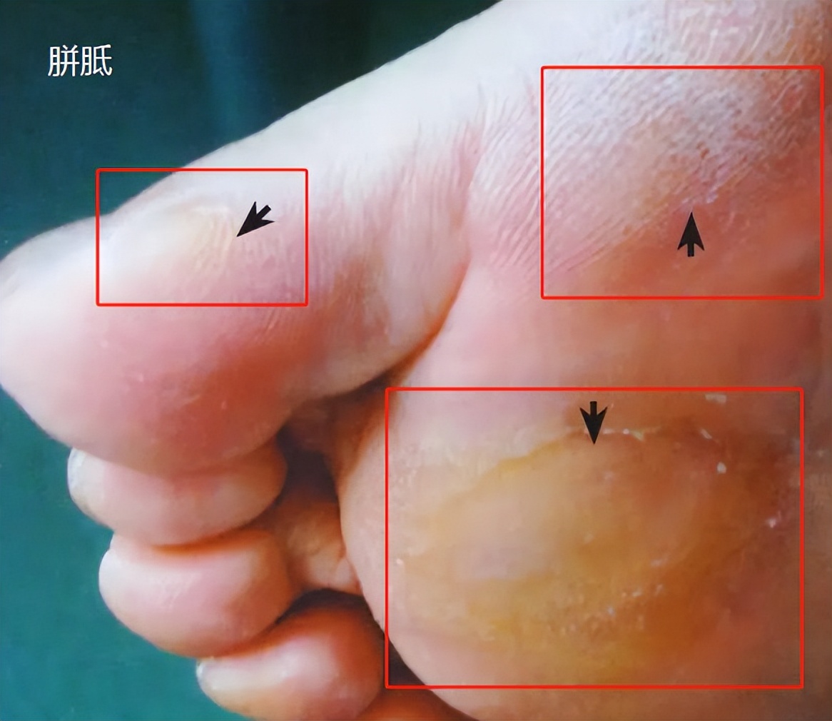 看图猜哪个是真哪个是假,看图猜猜哪个是真的哪个是假