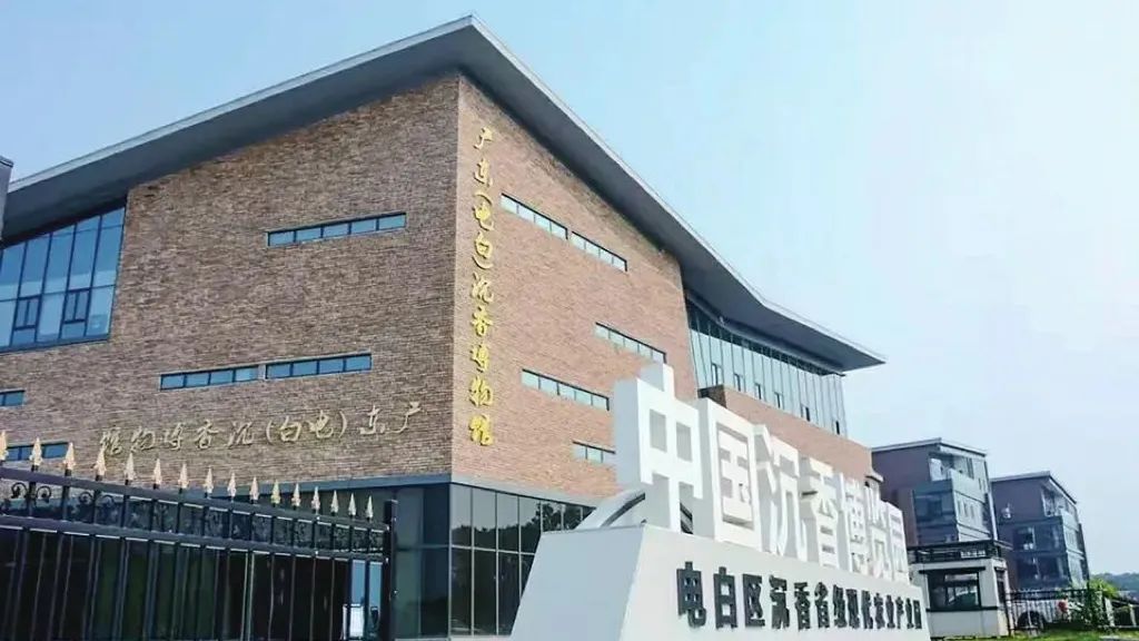 电商助力乡村振兴案例,乡村振兴创新创业电商助农视频