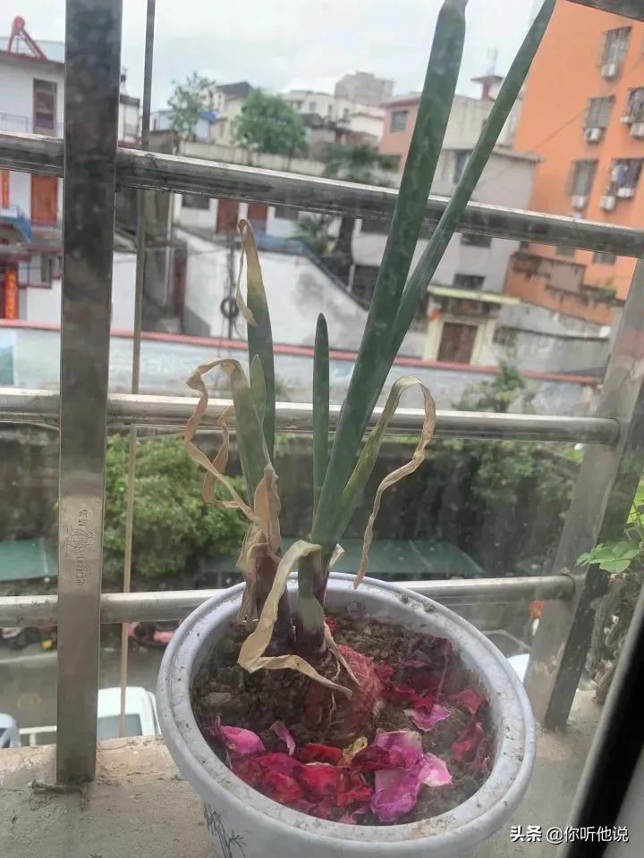 那些40岁没嫁的剩女怎么样了,34岁没生孩子会怎么样