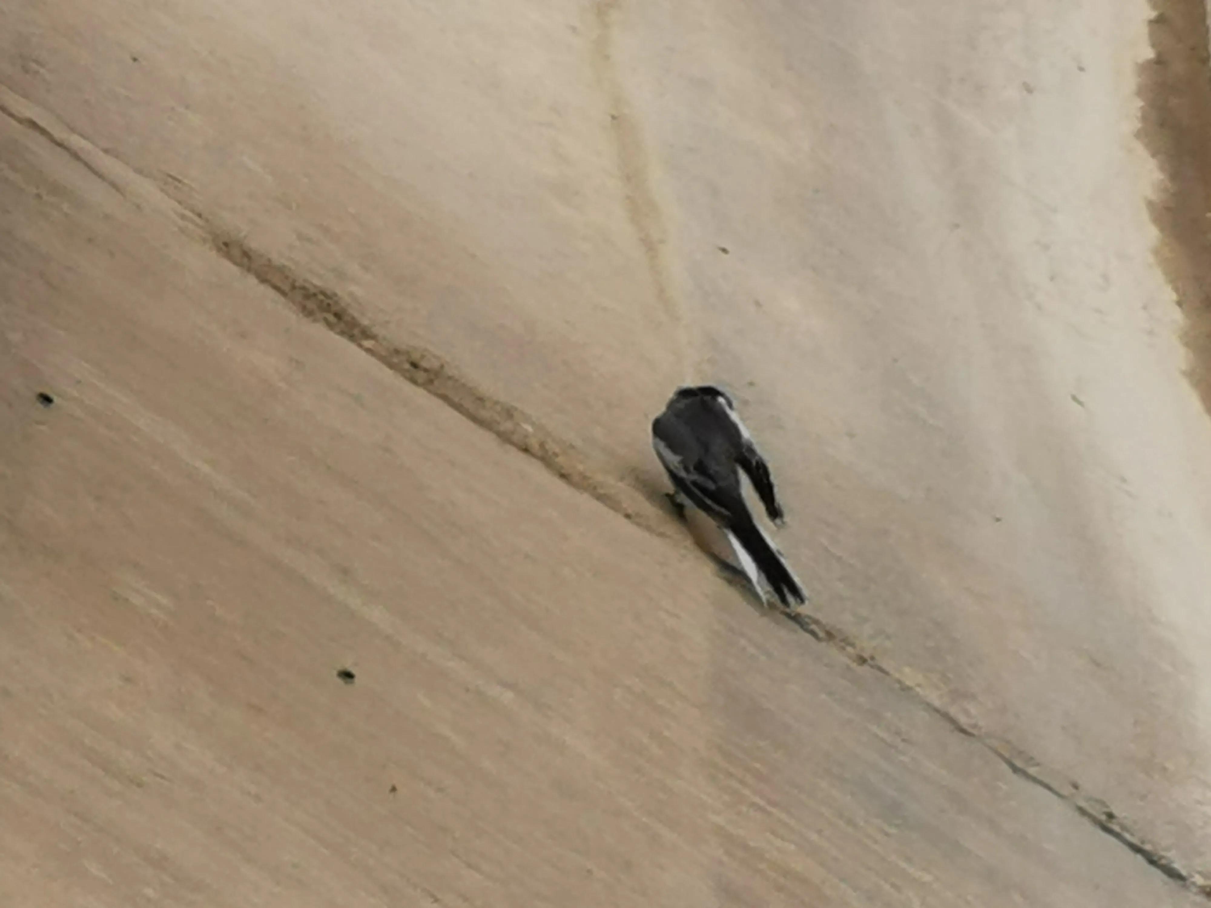 和田市骑行路线,骑行乡间田野