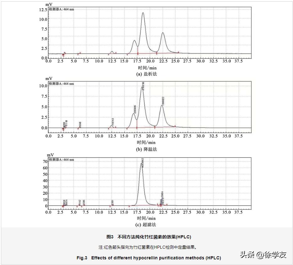 竹红菌素中试提纯工艺及抑菌活性研究