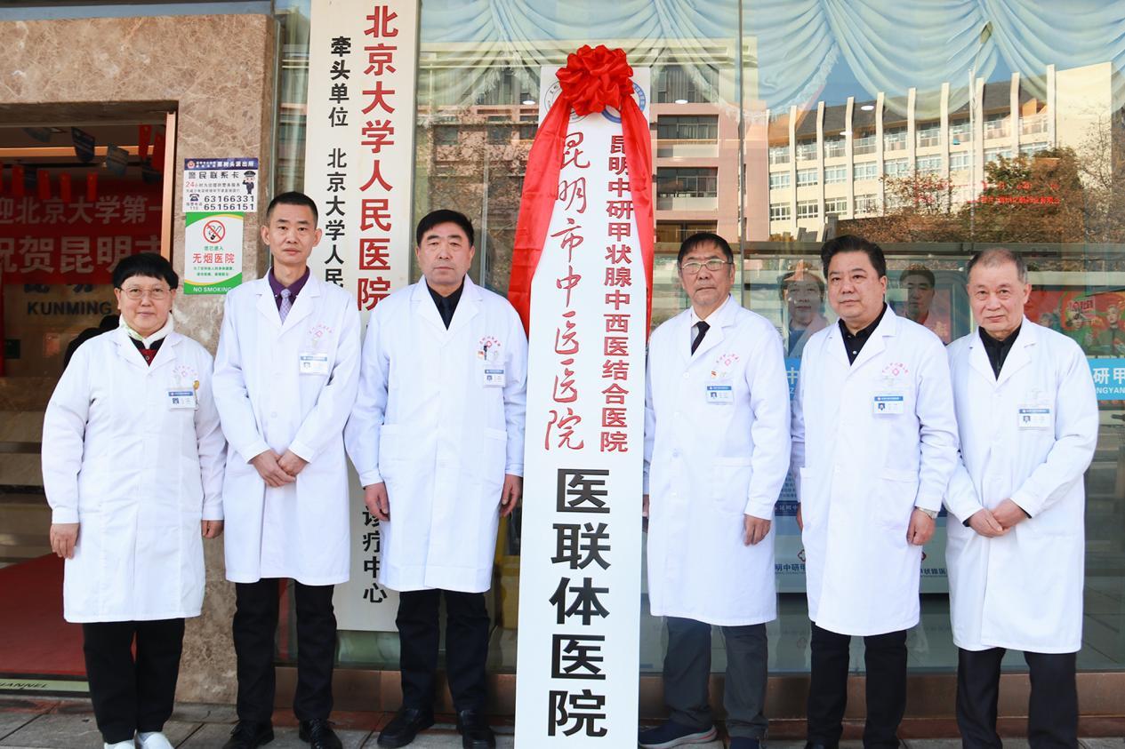 医联体合作医院方案,共建中西医结合医联体