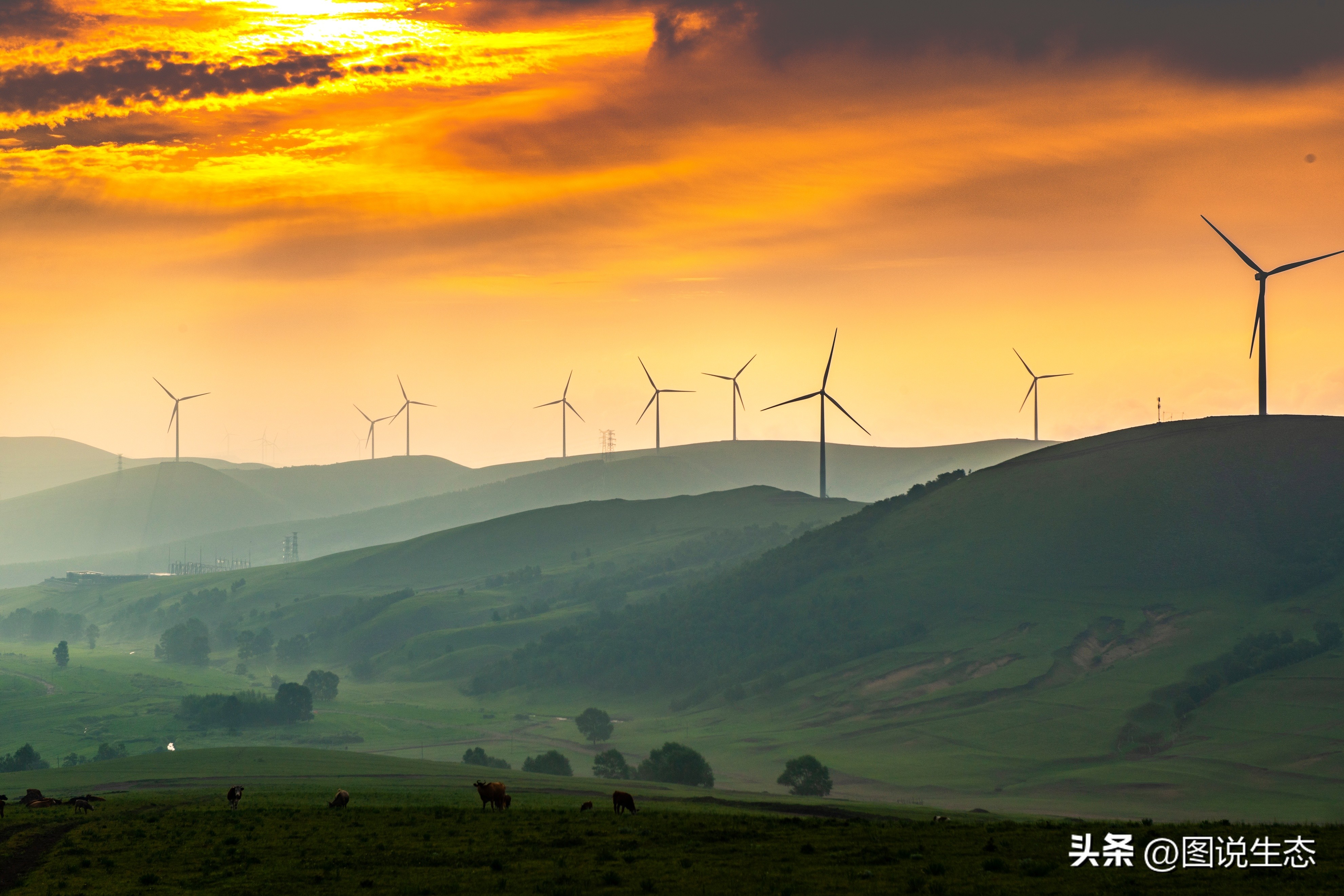 坝上草原游玩的好去处,锡林郭勒大草原和丰宁坝上