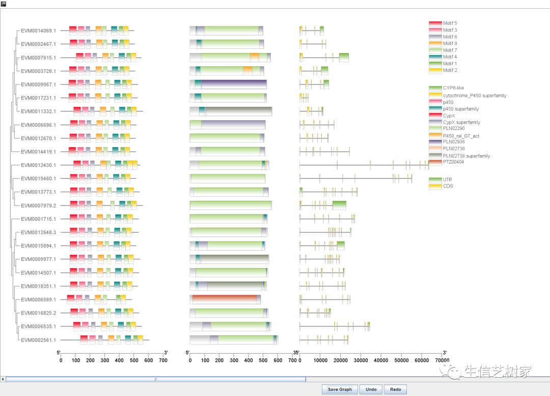 TBtools|基因家族分析,进化树、Motifs、结构域