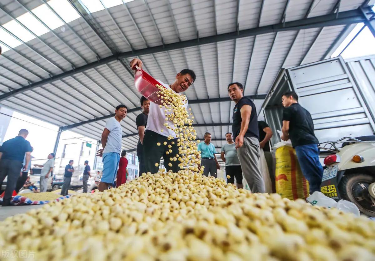 打工人创业做什么生意好,适合打工仔创业的小本生意