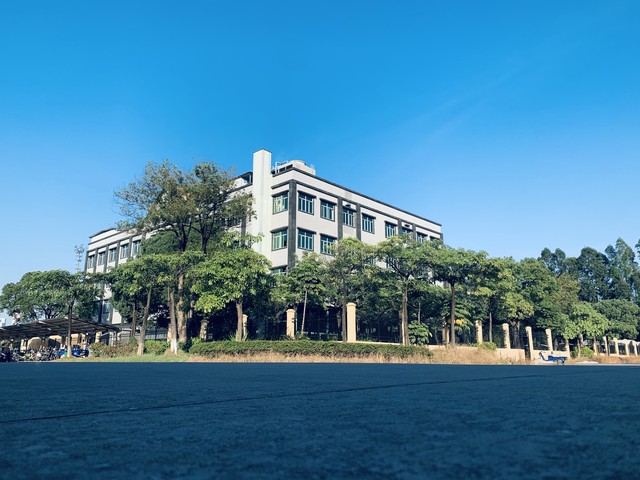 职高的毕业证属于中专学历吗,高中职高和中专中技的区别