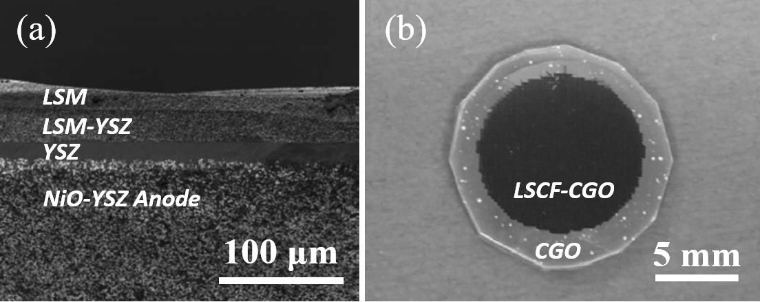 一篇文章带你了解陶瓷3d打印,陶瓷3d打印技术的成型过程