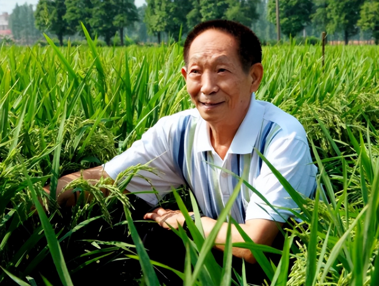 人兽真能杂交？日本批准“人兽杂交嵌合体试验”，福音还是灾难？