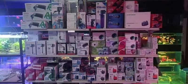 水族开网店需要什么,新手做水族店注意事项