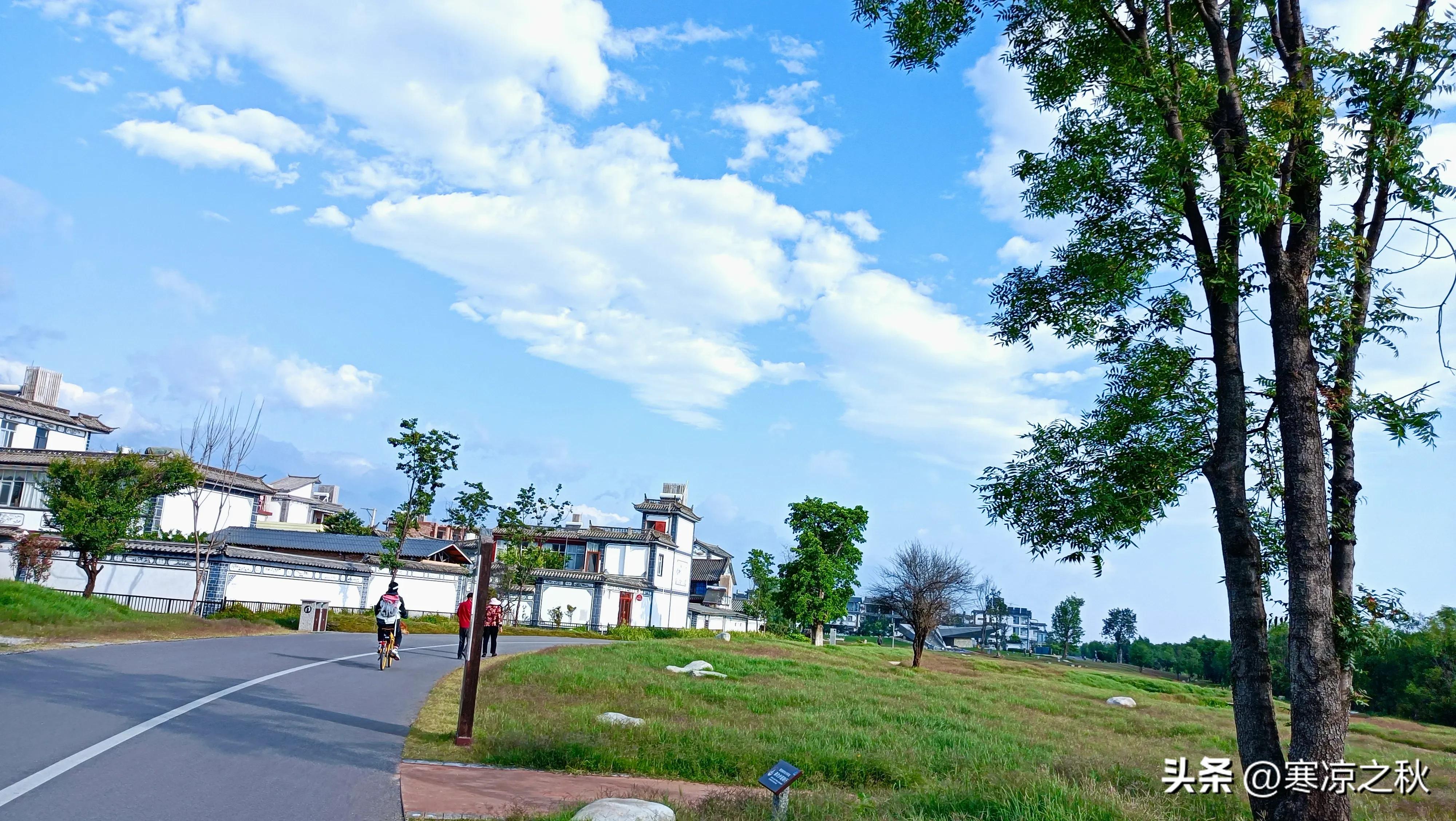 生活在大理的明星,生活在大理的韩国人