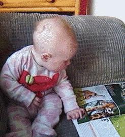 新手为什么不养鳄龟,养了一年的鳄龟怎么一点都不凶