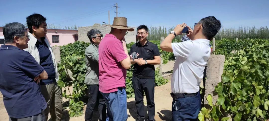 紫轩白酒,紫轩酒厂参观