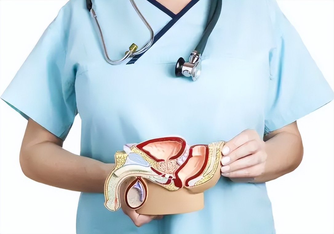 为什么男人的丁丁，普遍偏左？