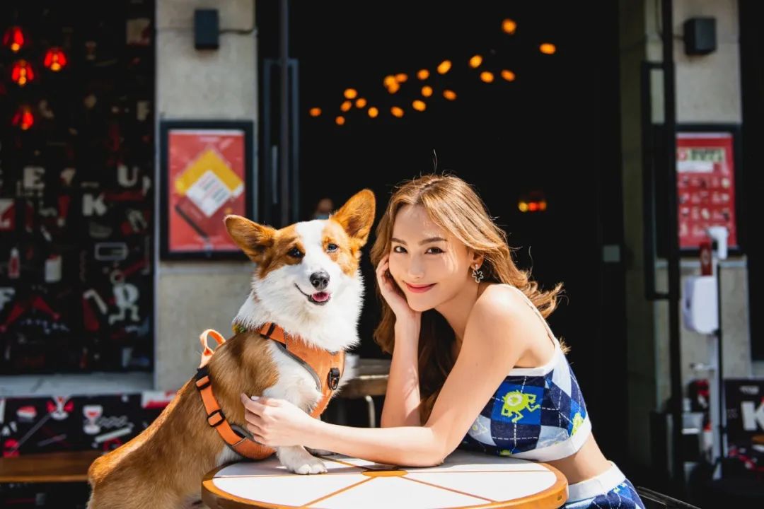 魔都宠物天地,魔都周边宠物友好景区