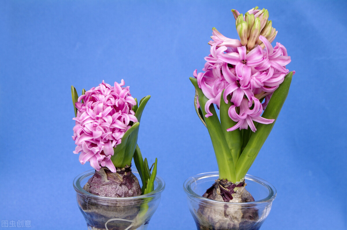 驱散阴霾的阳光,驱散阴霾情话