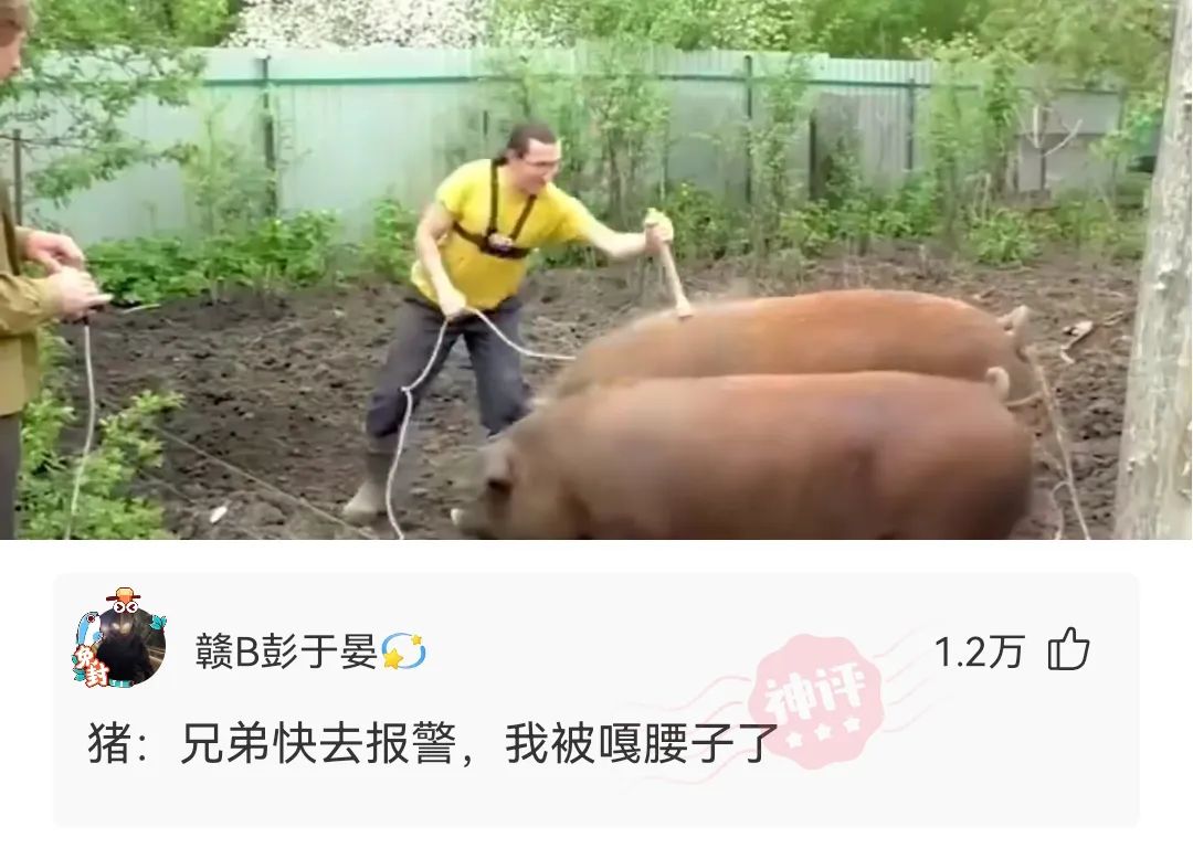 神回复我真的快坚持不住了,神回复我太难了