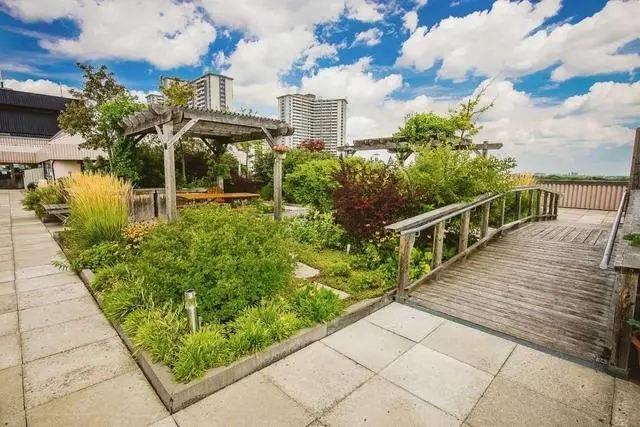 绿色屋顶在绿色建筑中的作用,温哥华典型建筑