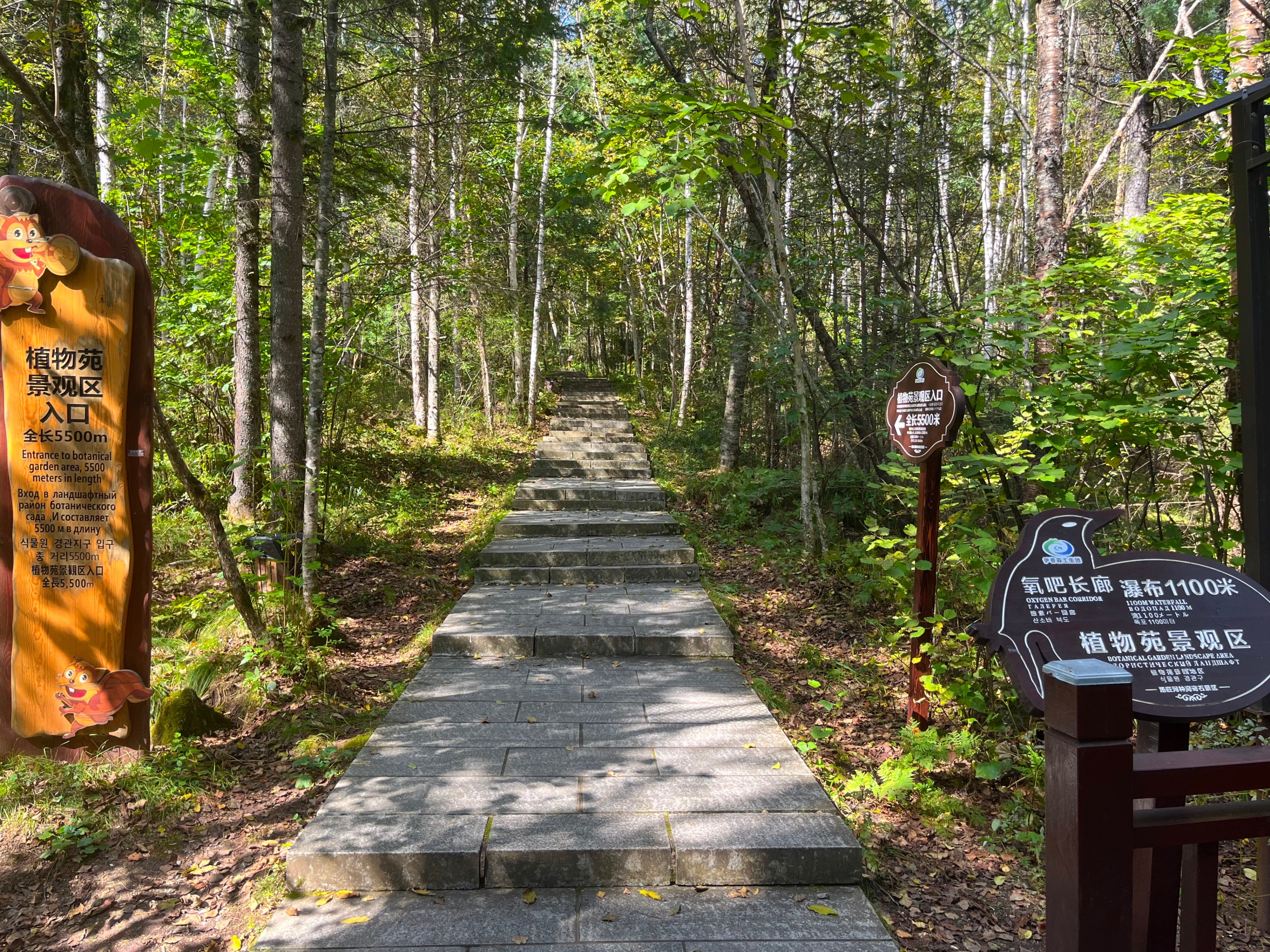 夫妻自驾11000公里,夫妻两人自驾游最新视频