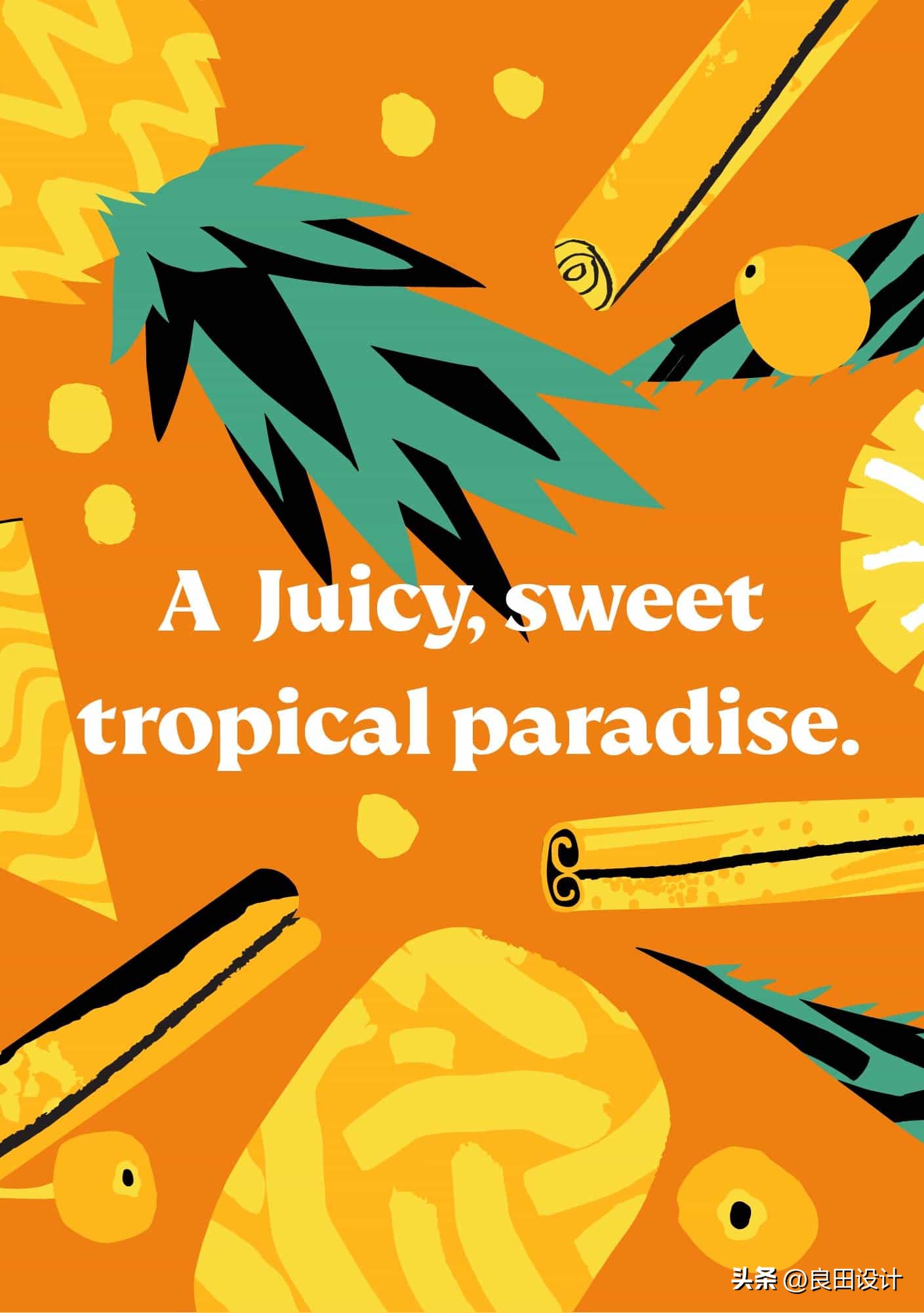 StemCiders苹果酒包装设计全面的品牌重新设计