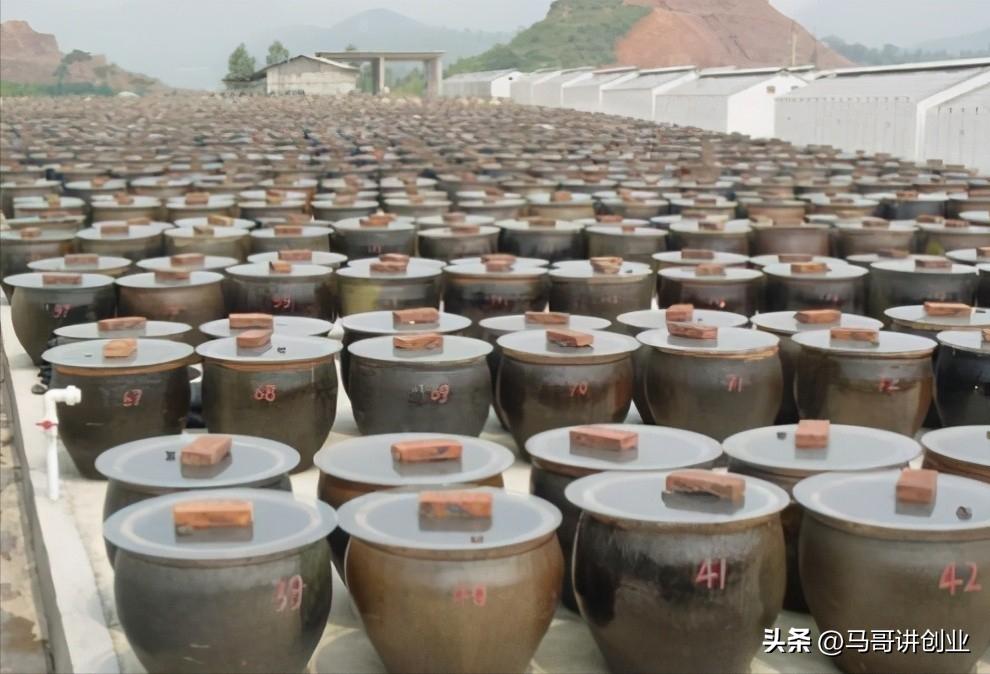 农村做什么赚钱五个致富项目,农村快速致富成本低的方法有哪些