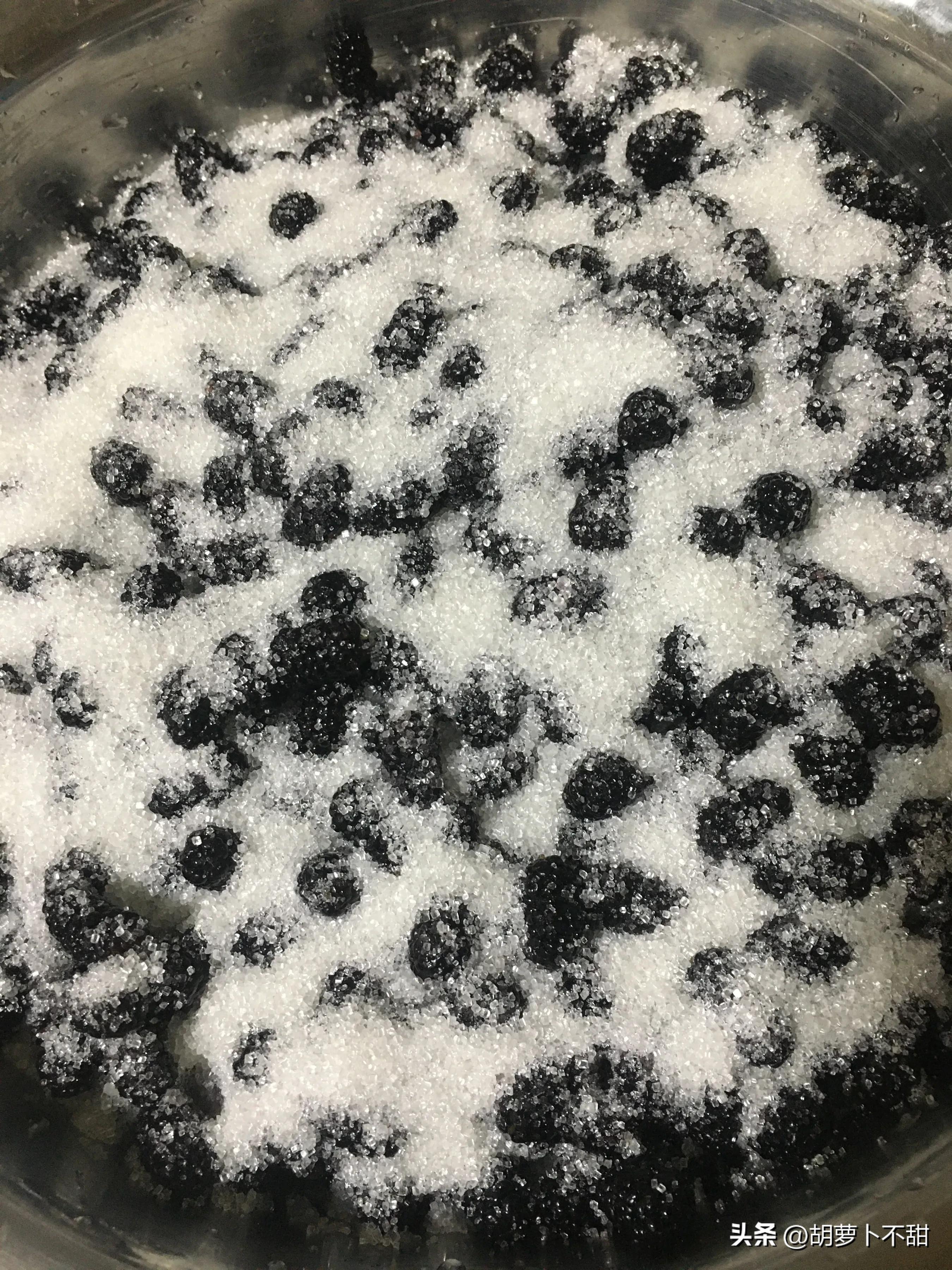 自制桑葚果酱不放糖,自制桑葚果酱的危害