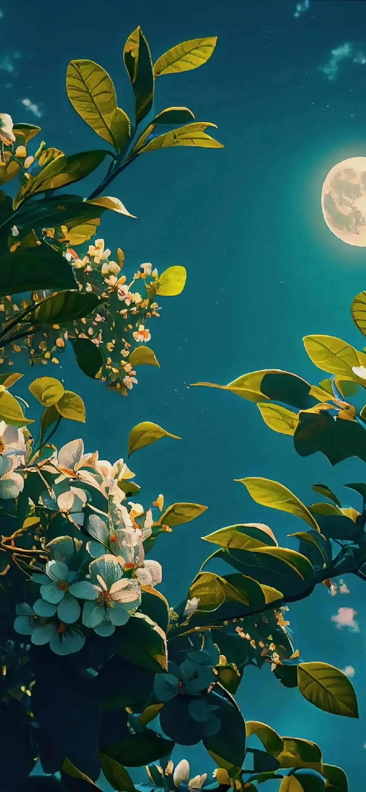 美丽的太阳高清手机壁纸,美丽的鲜花手机壁纸