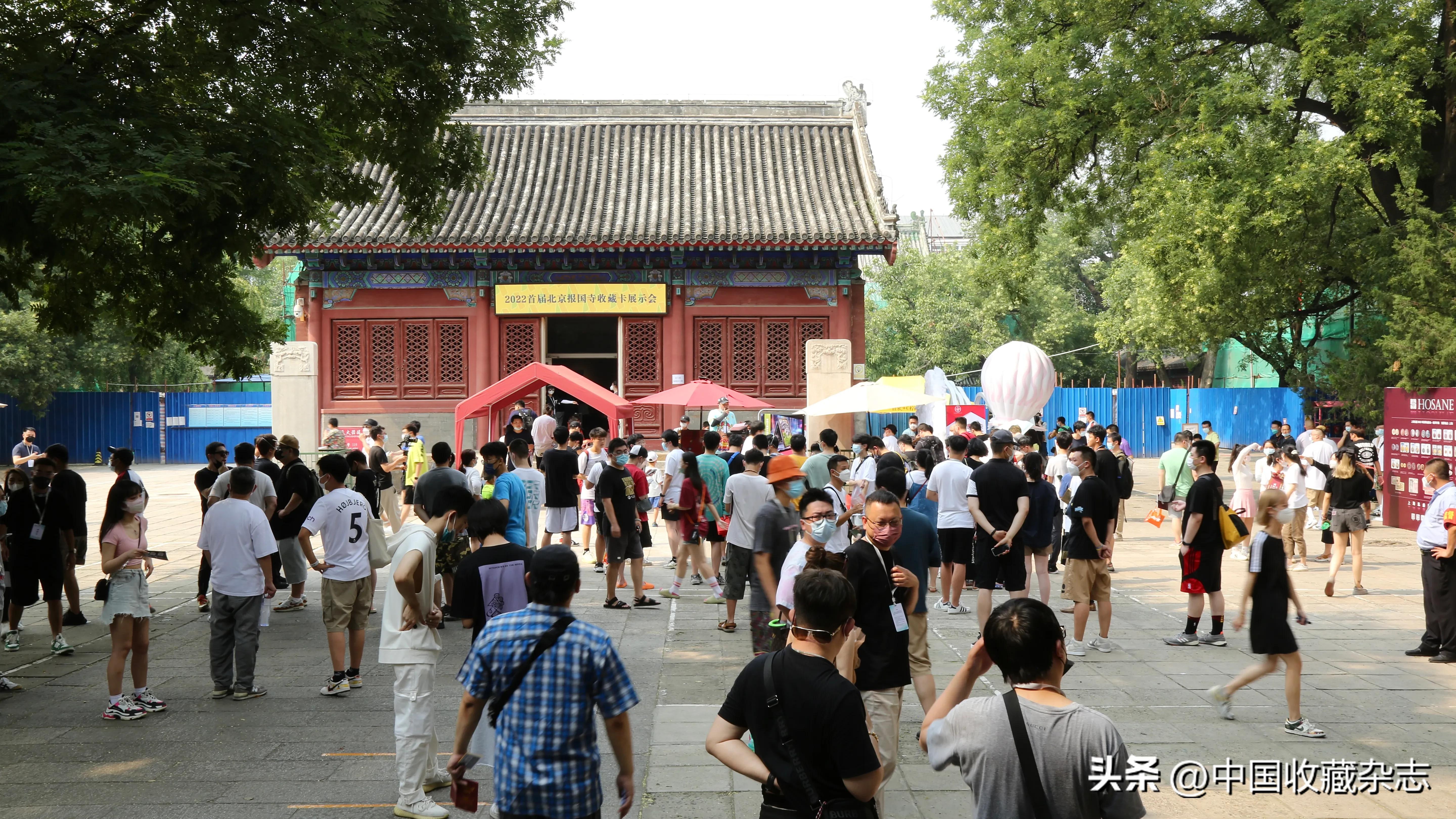 疯狂球星卡推荐,疯狂球星卡社3.0