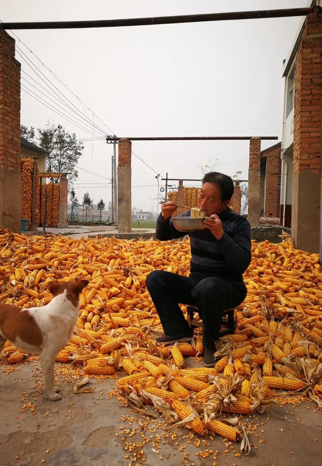 马岗家具,马岗室内装修厂家