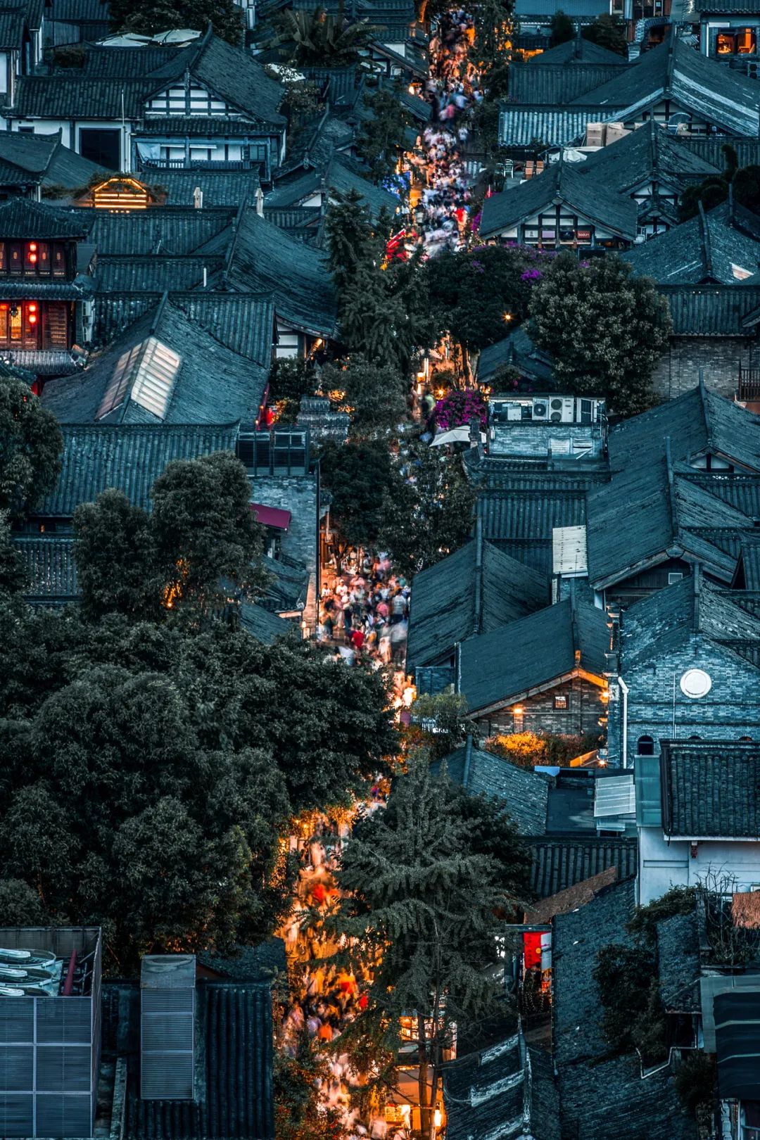 成都向上最新信息,年度向上力量合照