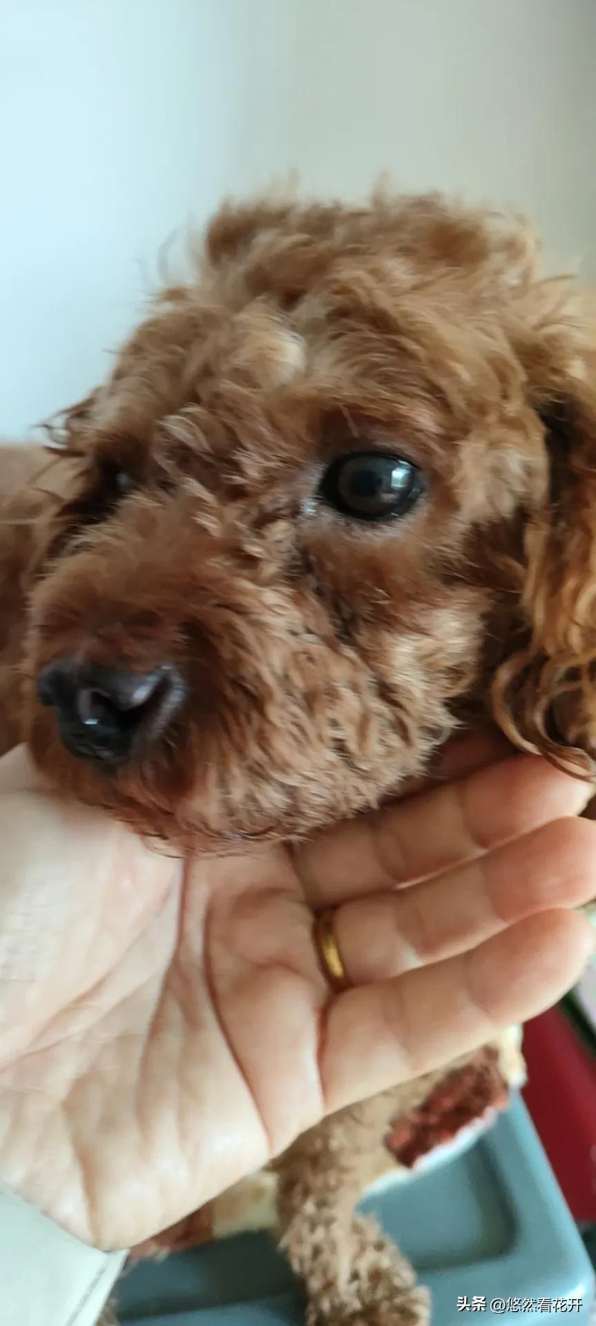 揪心的感觉是什么歌,揪心的感觉需要做什么检查