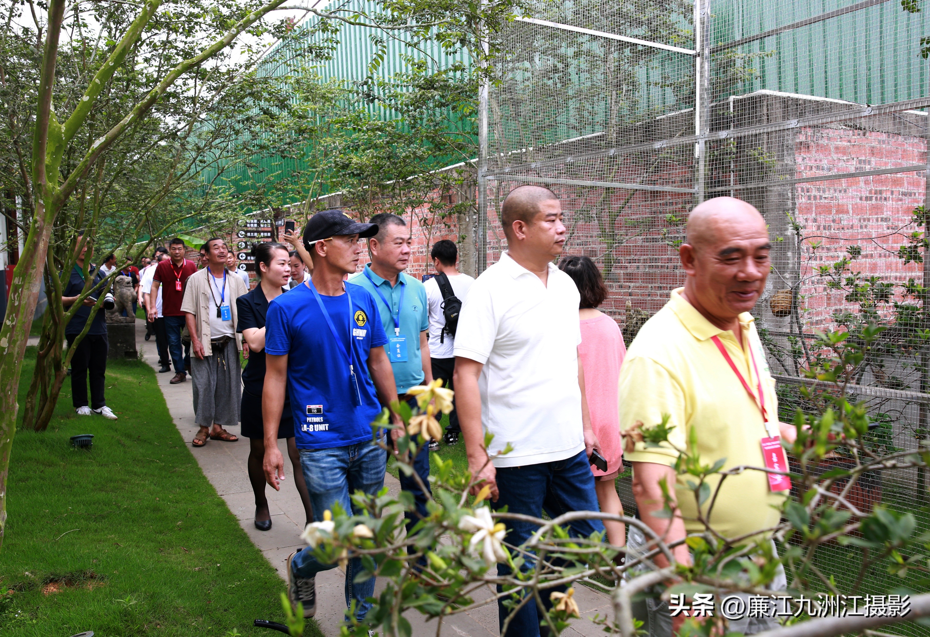 最高端的盆景展,一场惊艳的盆景展