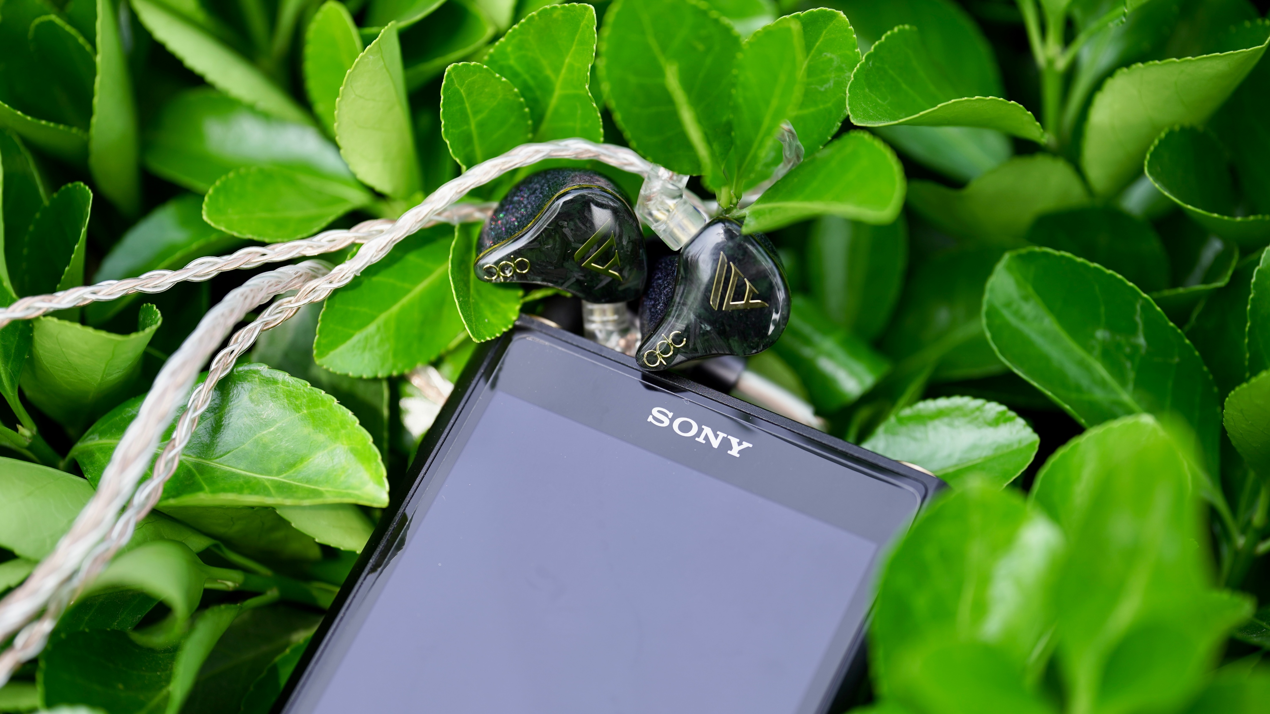 索尼walkman单放机,索尼walkmanwm2