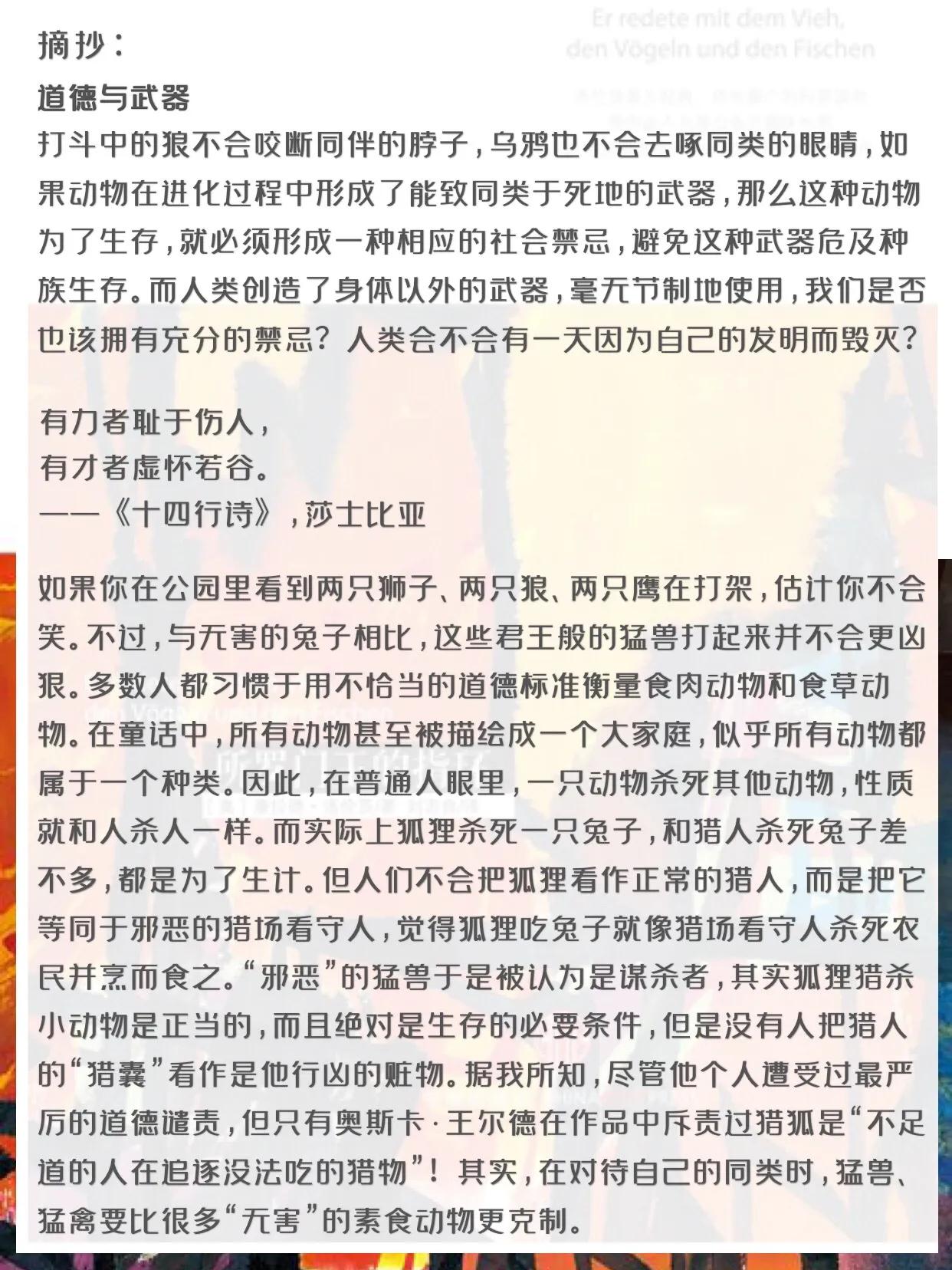 所罗门王的指环在线读,所罗门王的指环读书交流