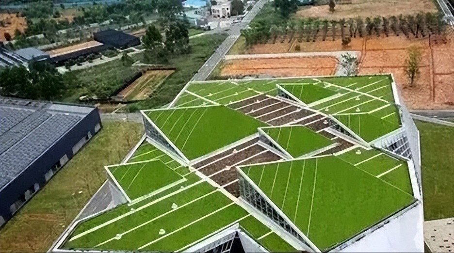 绿色屋顶在绿色建筑中的作用,温哥华典型建筑