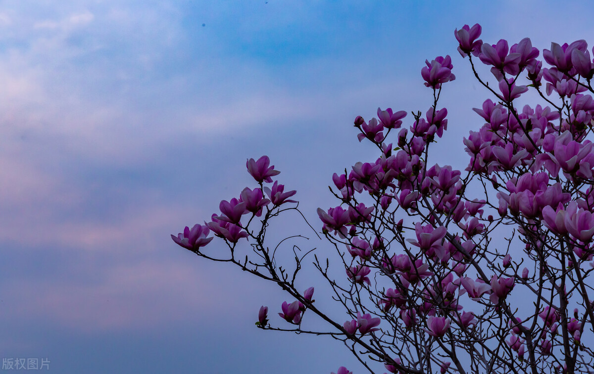 让人穷得很稳定的习惯,让一个人穷得很稳定的原因