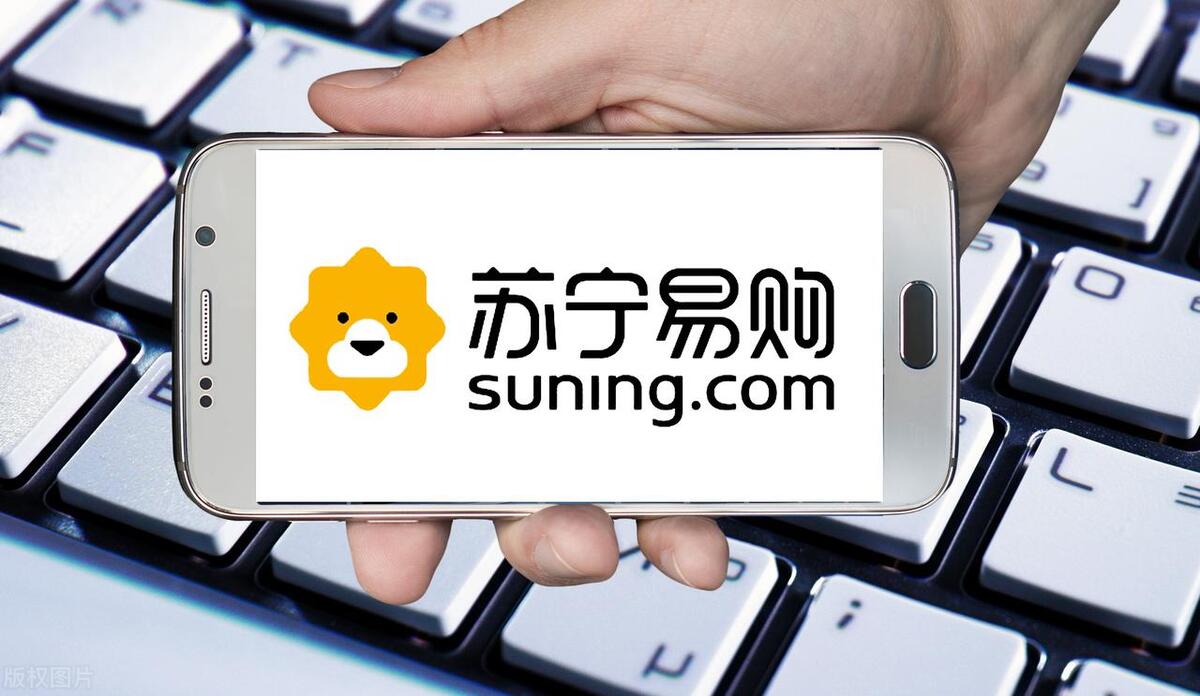 苏宁易购未来发展的主要困难,苏宁易购到底好不好