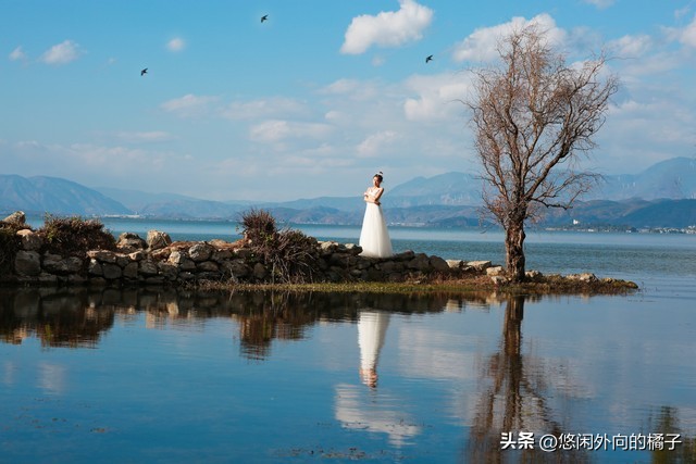 心心相印两情相悦打一生肖,两情相悦应长久的生肖