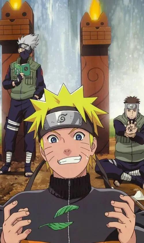 看犬夜叉,犬夜叉第二季有生之年