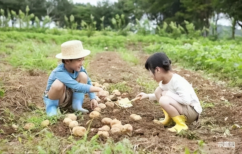 wow游乐园,wow有什么好玩的地方