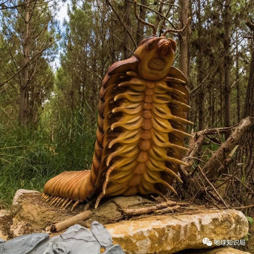 他们，做了一个违背祖宗的决定！|地球知识局