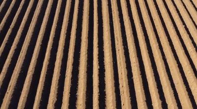 长得丑被抛弃,长得丑被人抛弃