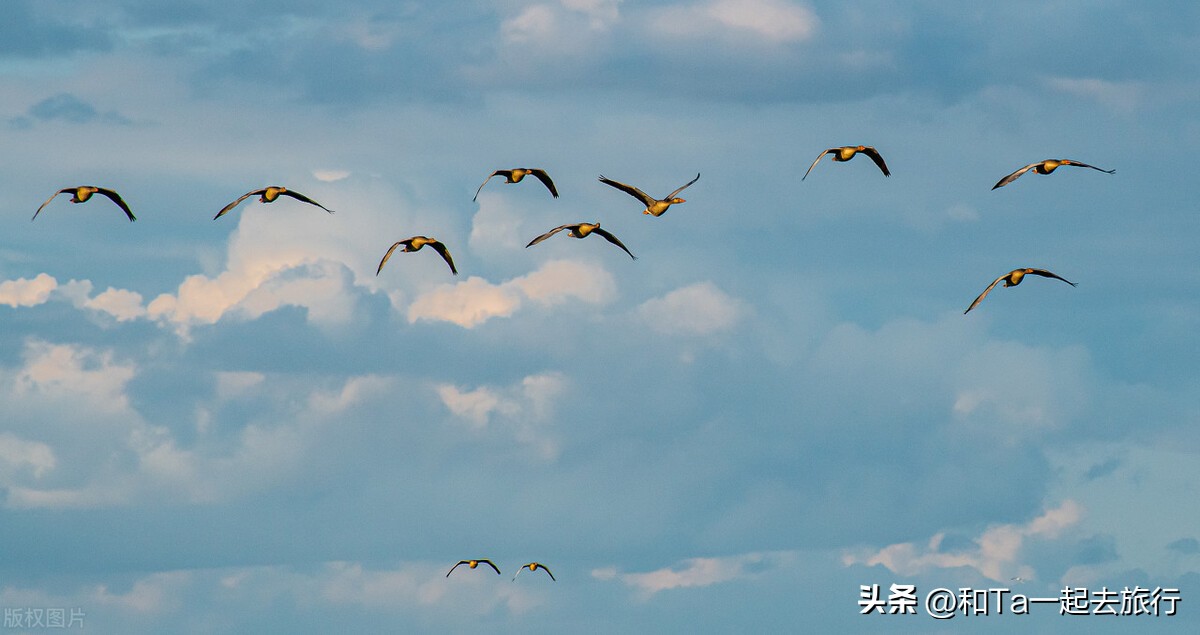 内蒙古巴彦淖尔市去哪玩比较好,巴彦淖尔值得去的地方