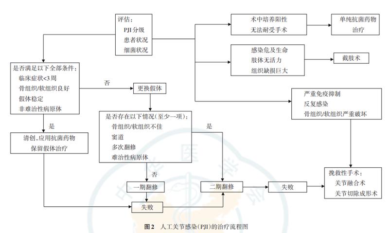 人工关节感染(PJI)治疗策略