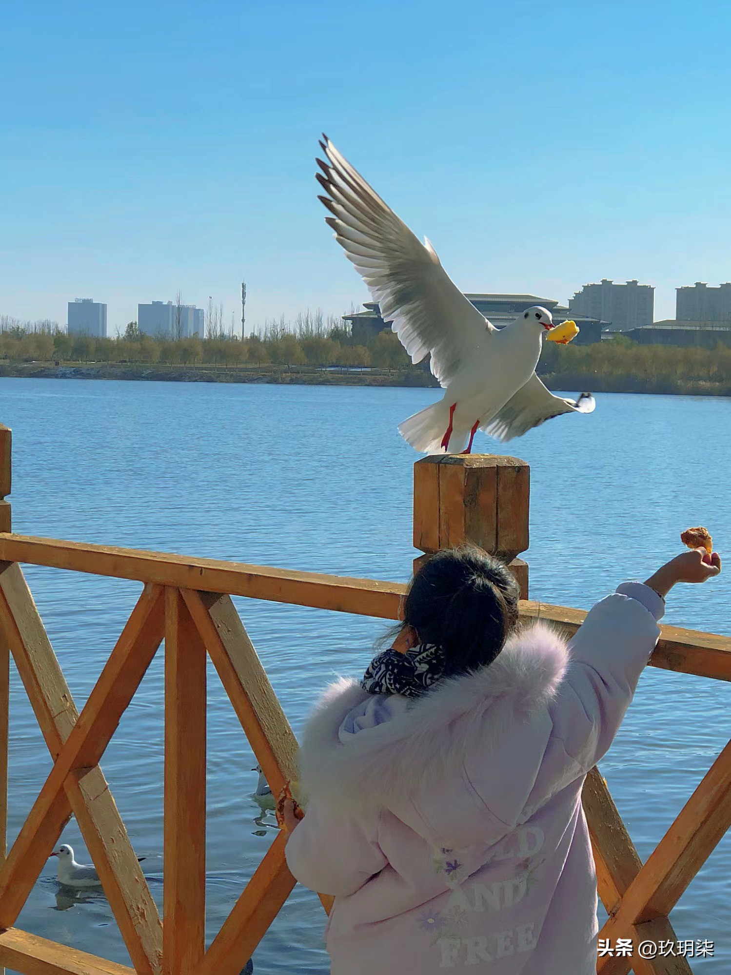 育儿假期建议,育儿假期的有效时间